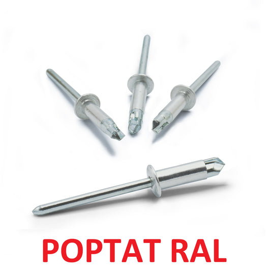 Rychlý nýt 4 x 10 hliník / pozink, vrták S, lakovaný, RAL POPTAT, bal. 400 ks